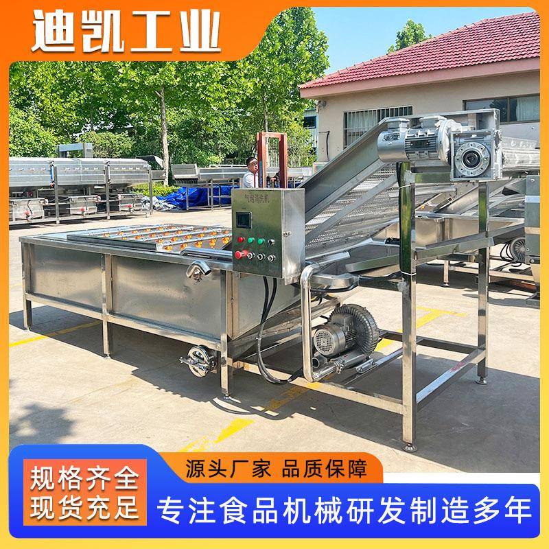全自动水果蔬菜清洗机 玉米棒气泡清洗机 玉米气泡清洗机设备