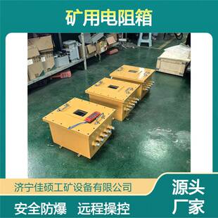DZB矿用电阻箱 远程操作隔爆防爆 煤矿井下低压供电漏电试验装置