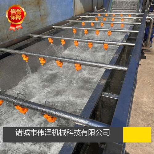 厂家现货蔬菜涡流清洗机 自动循环气泡洗菜机 果蔬清洗加工流水线
