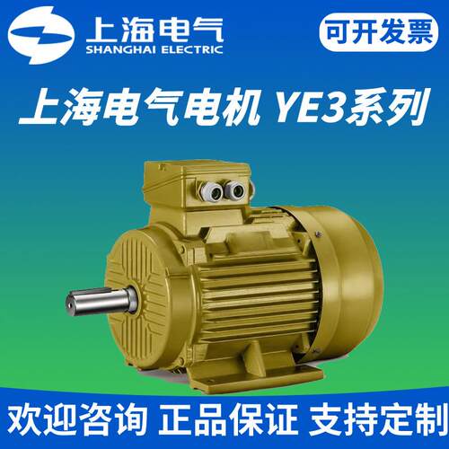上海电气电机YE3-4502800W660V50HzF/H级绝缘IP55/56/65防护