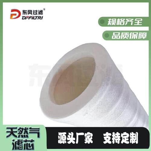 替PECO天然气滤芯PSFG-336天然气滤芯天然气管道滤芯