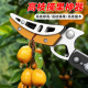高枝剪摘果伸缩杆摘水果采摘高空剪果树修剪树枝专用剪刀长杆