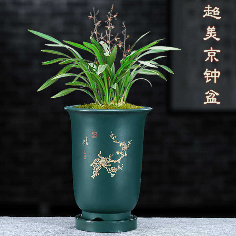 紫砂花盆兰花盆带托盘金钟盆简约君子兰盆栽吊兰透气桌面高京钟盆