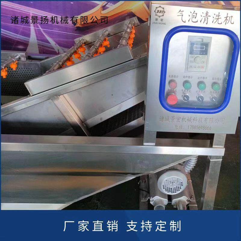 全自动翻浪式气泡清洗机 白菜胡萝卜气泡清洗机 喷淋式果蔬清洗
