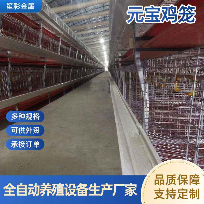 养殖场大棚用养鸡全自动上料供水集蛋清粪养殖元肉鸡笼蛋鸡笼