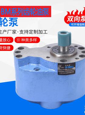 CB-BM10-3/CB-BM16CB-BM25CB-BM40CB-BM63-3齿轮油泵/稀油站油泵