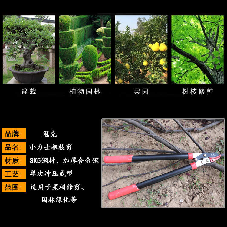 粗合金钢特钢加厚修枝剪果树剪工艺园林sk5手柄氟枝省力龙大力