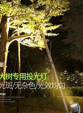 照树灯景观户外防水高射树LE灯D投光灯插地投光园林射灯庭院草坪