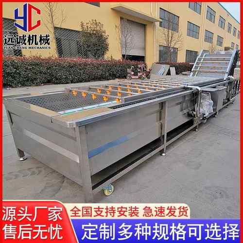 广东蔬菜清洗机全自动淋喷式姜牙清洗机核桃仁清洗流水作业线