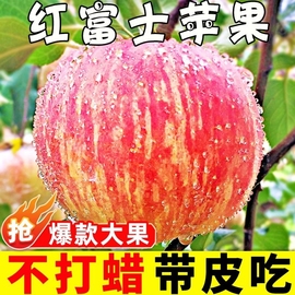 山西红富士苹果水果新鲜整箱，当季脆甜平果10小冰，糖心斤大果