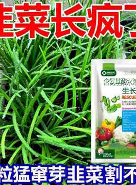 韭菜专用肥料营养液催芽