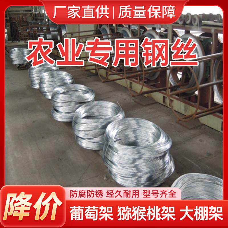 国标热浸镀锌钢丝农业不生锈调直钢丝奇异果单股葡萄架拉线 线防