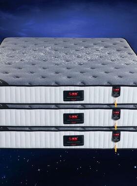 2024款弹簧垫加床厚1.8米席梦思软棕硬QAW两用椰乳胶床家用20cm垫