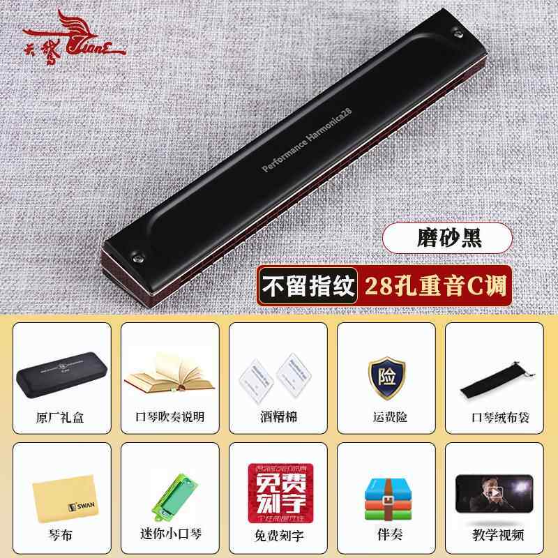 正品老国产覆经典Sw音天鹅口琴28孔调c调纯奏正男士口专业演级乐