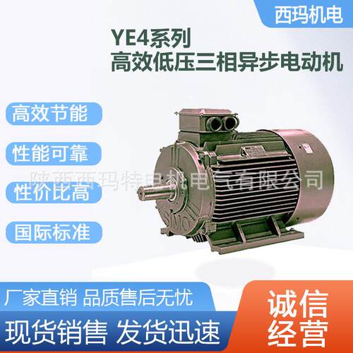 西安泰富西玛电机YE4-3552-2极400W大外圆交流三相异步电动机厂