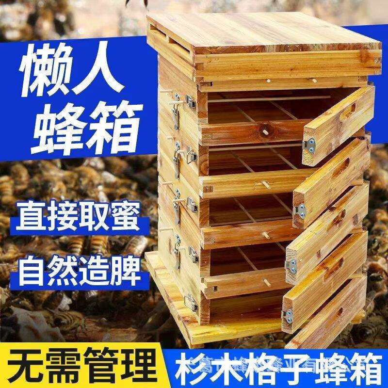 加大格子蜂箱中蜂煮蜡土养蜜蜂箱全套加厚烘干杉木五层蜂箱土蜂桶