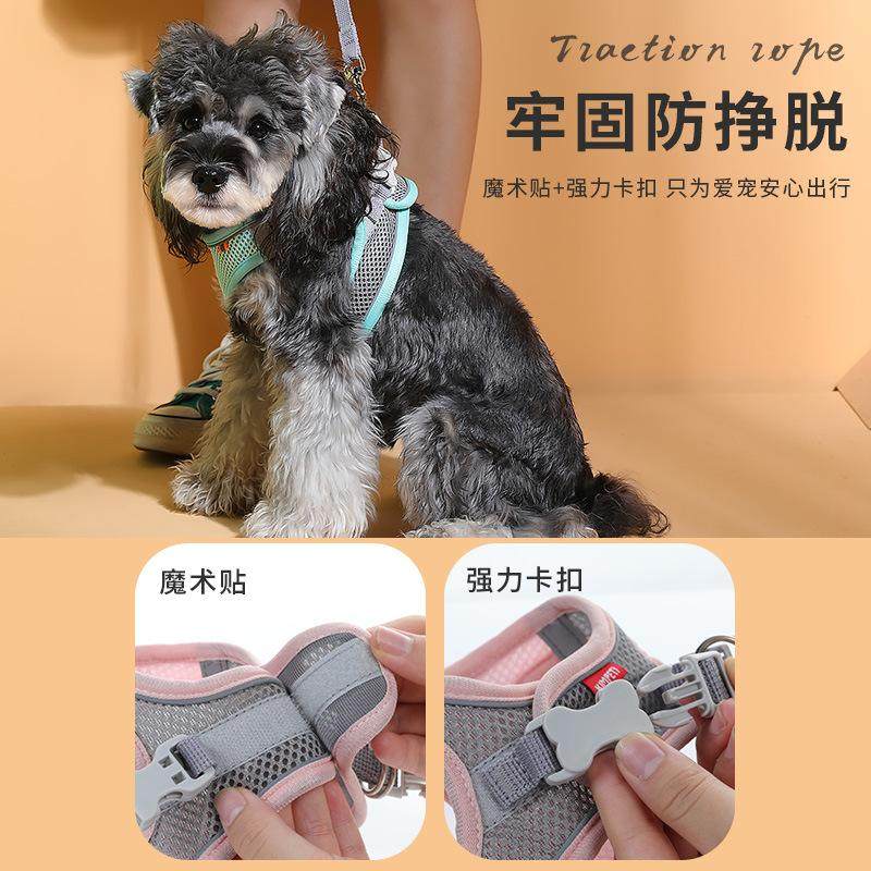 狗狗牵引绳猫咪狗绳子背心式胸背带小狗网红小型犬泰迪宠物遛狗绳,宠物/宠物食品及用品,猫牵引绳,淘宝优惠券,粉丝福利购,淘宝优惠卷