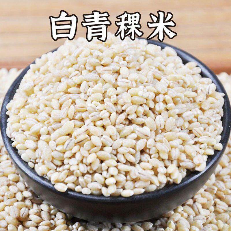 -白青稞米青海高原谷物优质青稞高海拔五谷杂粮大麦仁粗粮新米