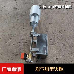 沼气燃烧火炬小型外然火炬沼气集中处理内燃火炬