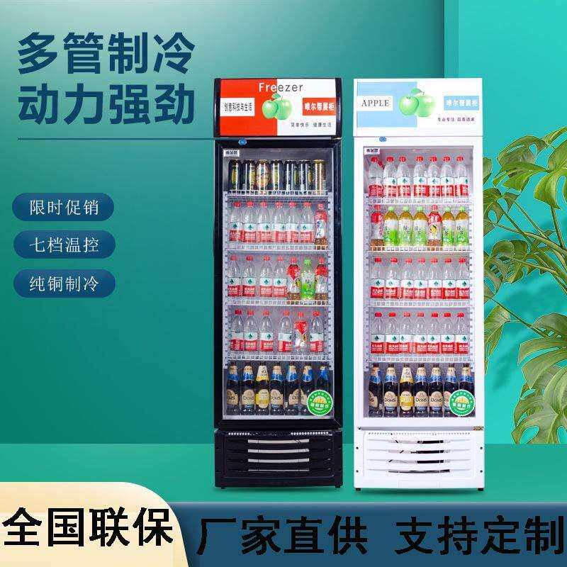 啤酒柜饮料展示柜小型单门冰箱冷藏立式商用双门蔬菜水果食品保鲜