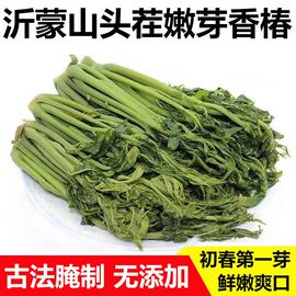 香椿芽咸菜山东特产当季新鲜手工腌制头茬嫩芽下饭菜酱菜油焖香椿