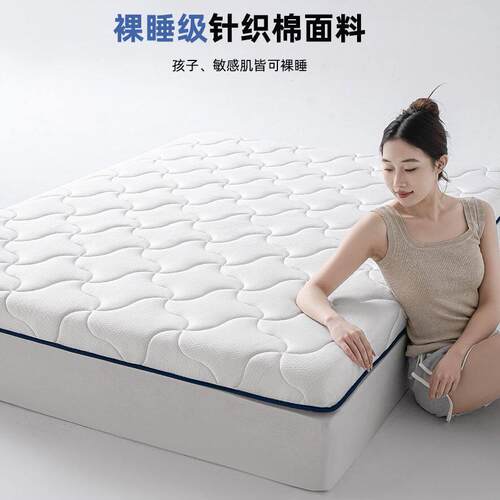 乳胶绵记忆棉床垫遮盖物软垫用483卧家褥室被铺底榻榻米租房专用
