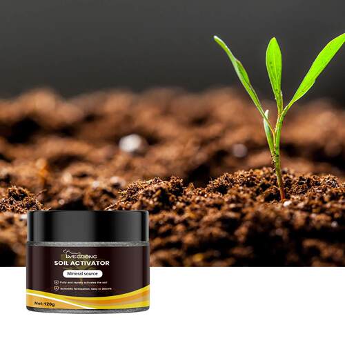 Yegbong Soil Activator - Plant Growth Nutrient Supplement, R