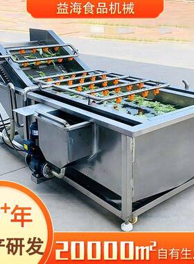 果蔬气泡清洗机香菇辣椒喷淋清洗设备小型秋葵柑橘水果清洗机