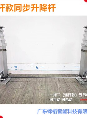 定制F5-146电动推杆 行程2m伺服电缸同步伸缩48v电动升降杆内走线