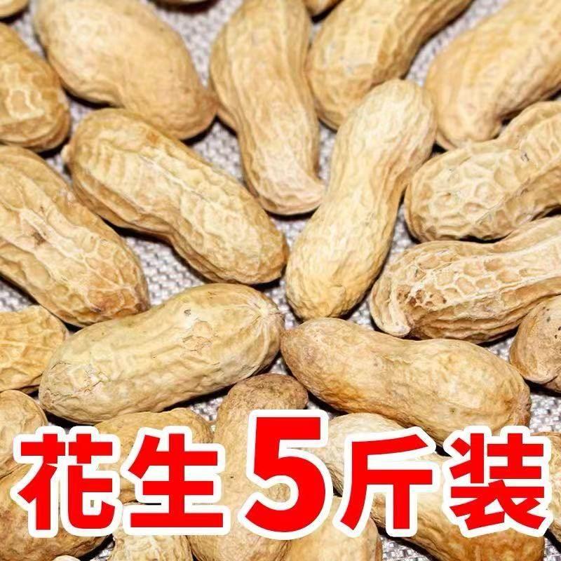 铁锅炒花生带壳原味炒熟新鲜晒干山东大花生炒货干炒炒制味道美味