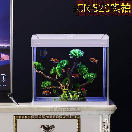 鱼缸客厅小型迷你桌面家用水族箱新款免换水生态小鱼缸玻璃金鱼缸