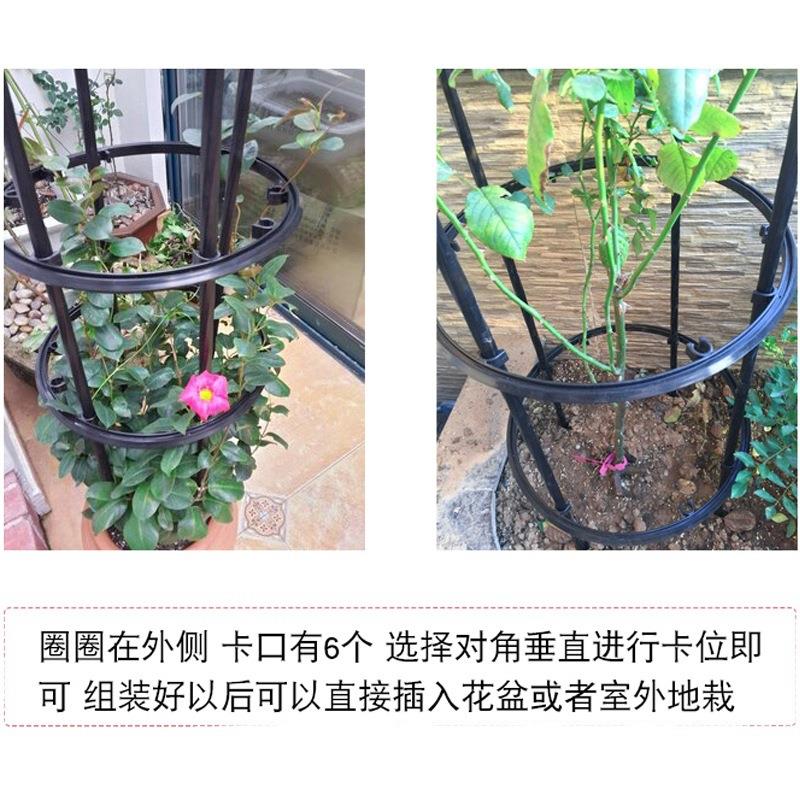 欧式U型地插式园艺支架盆景加粗玫瑰花爬藤植物花架月季爬藤架