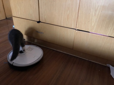 科沃斯地宝DJ65扫地机器人优缺点有哪些?用后感受