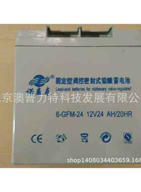 Nortek诺泰克12V24AH蓄电池 诺泰克6-GFM-24 / 12V24AH铅酸蓄电池