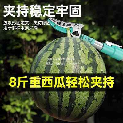 采高摘枝枇杷水果荔杨梅伸缩杆修工具空枝园80019艺花木高枝剪