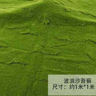 植青苔造景植橱窗景观绒微装饰假仿真盆景苔藓场景草皮室内绿苔藓
