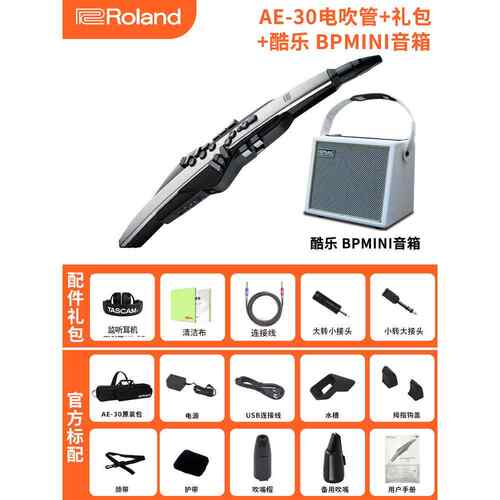正品现货Roland罗电吹初管乐兰器AE20老年子人学娱乐AE30电吹管萨