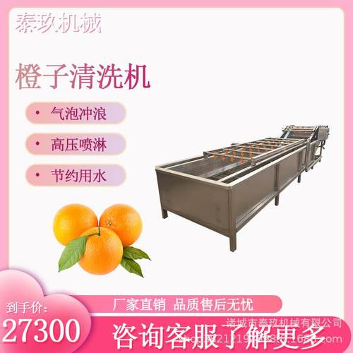 橙子气泡清洗机 豆角快速清洗线 净菜处理清洗设备 柠檬洗果机