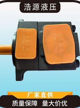 厂家直供永灵液压叶片泵升降货梯液压站PV2R2-53F1泵各种型号