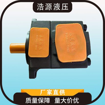 厂家直供永灵液压叶片泵升降货梯液压站PV2R2-53F1泵各种型号