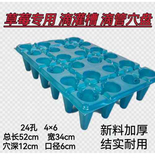 草莓专用24孔高脚新塑料料加厚耐用大号滴管槽育苗盘营养钵托 托