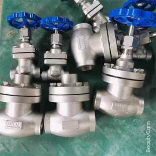 不锈钢低温阀 316低温加长闸阀 DZ41Y 16PDN25法兰不锈钢304