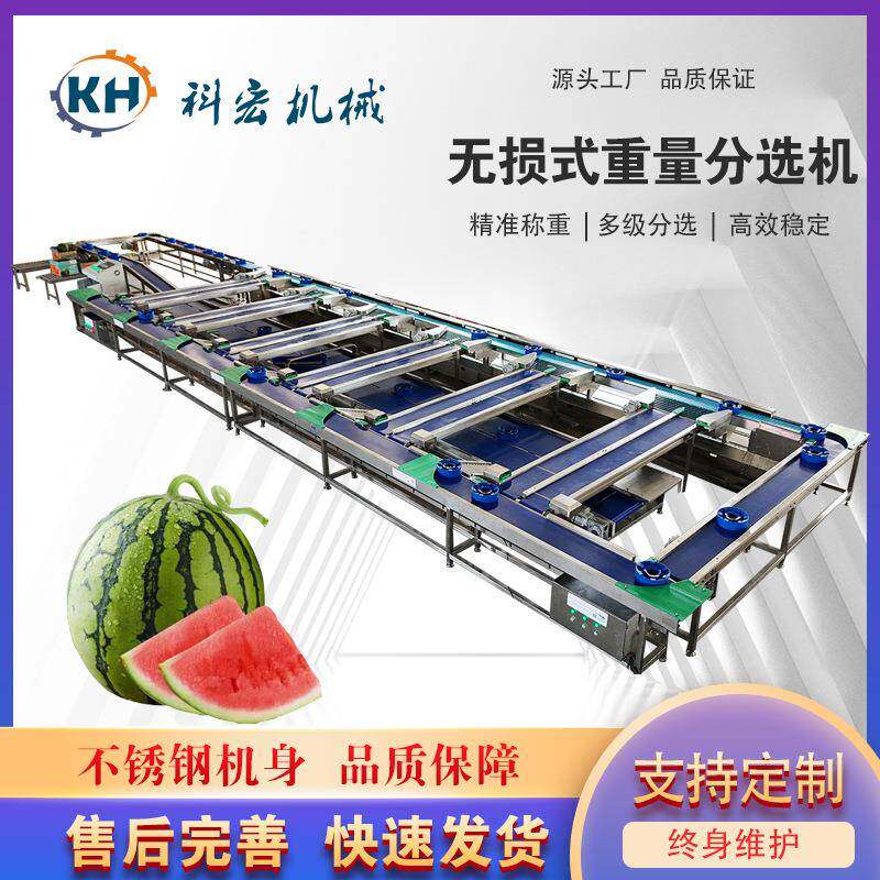 机械无损式重量分选机凯特芒菠萝智能分拣西瓜甜瓜重量分选