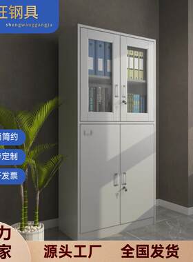 文件柜办公室会计财务凭证柜带锁资料柜员工储物柜管理简约风防火