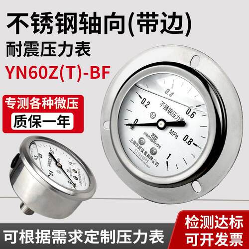 Y60BFZT YN60BFZ 轴向不锈钢压力表 面板式 耐震压力表 全304