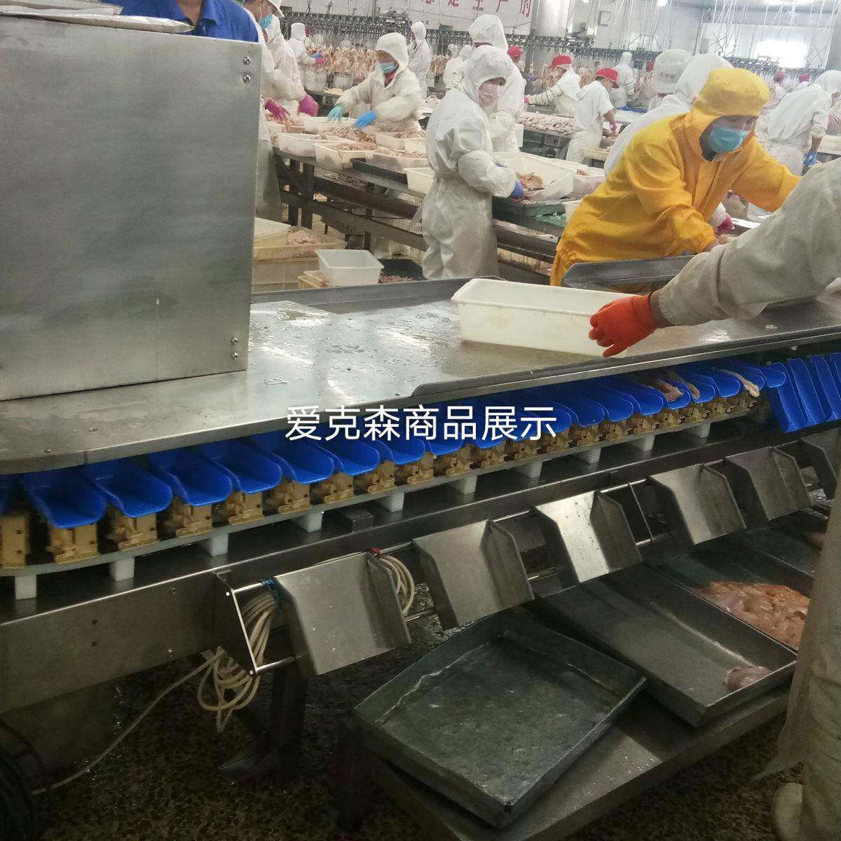 爱克森全自动海参小龙虾帝王蟹重量分选机牡蛎生蚝大小分拣机设备