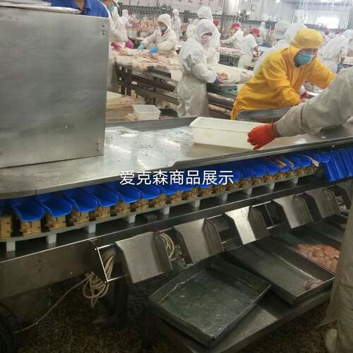 爱克森全自动海参小龙虾帝王蟹重量分选机牡蛎生蚝大小分拣机设备