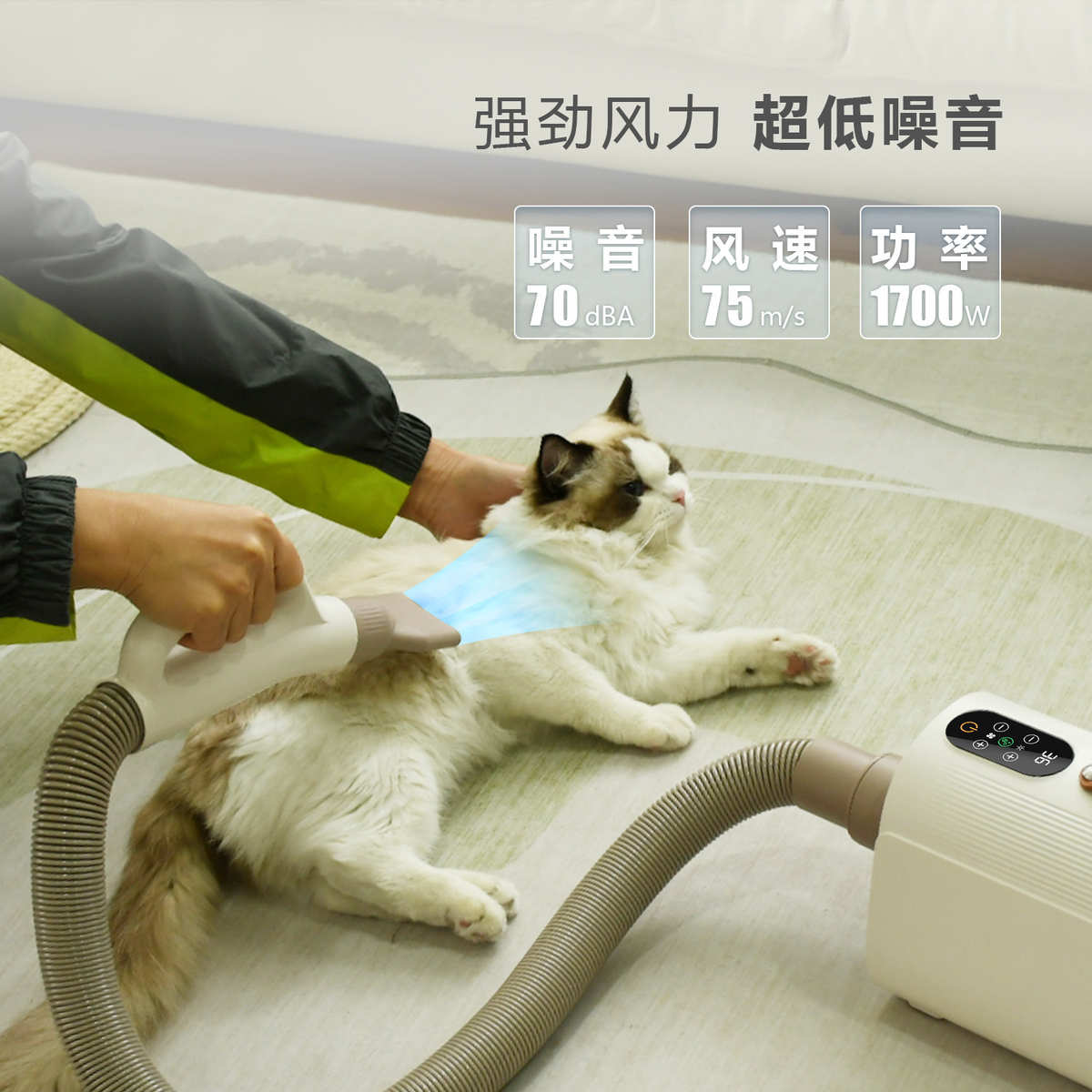 新款猫咪吹吹风机屏狗狗器大功率宠物负离子水机烘干机毛触吹猫咪