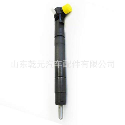 共轨喷油器总成 EMBR00301D A6710170121