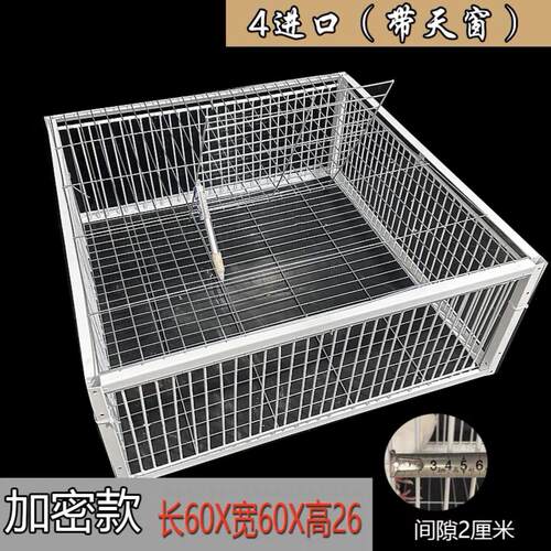 天落笼只进不出鸽子笼加密活络门鸽笼自动门撞门户外房顶鸽子笼子